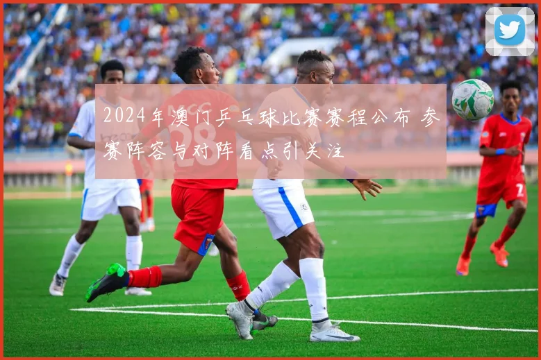 2024年澳门乒乓球比赛赛程公布 参赛阵容与对阵看点引关注